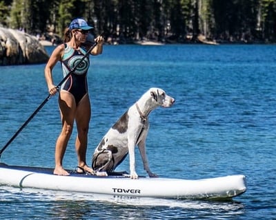 Stand-Up Paddleboard Rental in Auburn