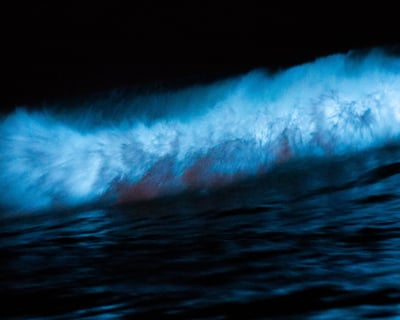 Guided Indian River Lagoon Bioluminescent Tour