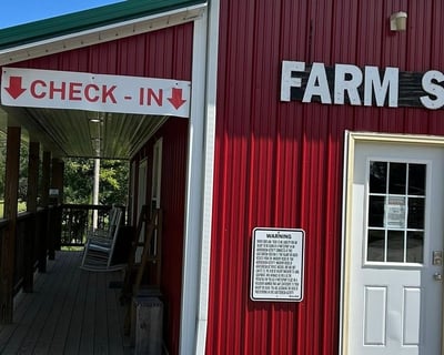 Black Friday Farm Visit in Kent