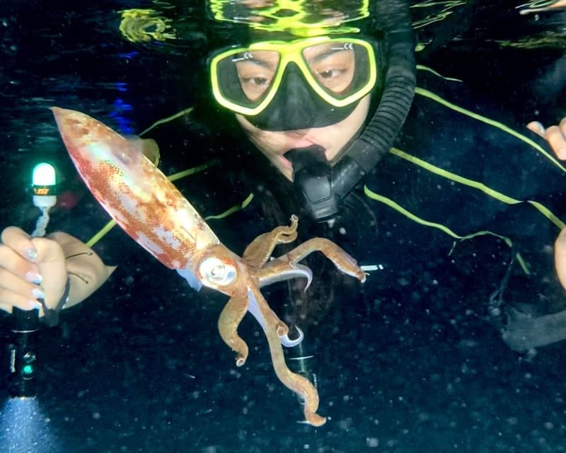 Night Snorkeling & Diving Reef Tour from Cancun