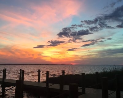 Private Dolphin and Scenic Boat Tour