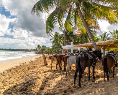 Beach Horseback Ride in Luquillo