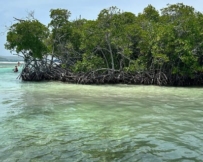 4.5-Hour Private Charter in La Parguera