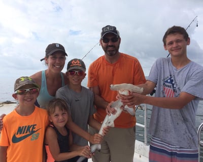 Hilton Head Island 3-Hour Shark Fishing Charter