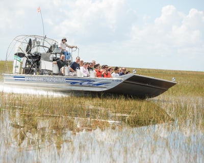 Everglades 40-Minute Airboat Tour with Reptile Exhibit