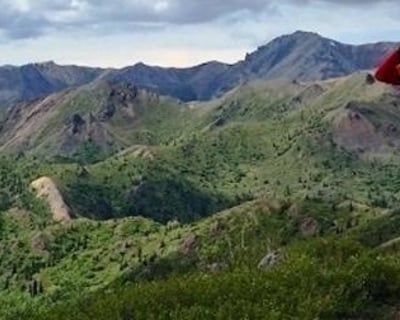 5-Hour Guided Hike in Denali