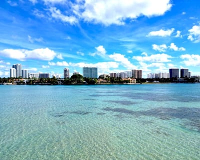 Haulover Sandbar and Indian Creek Boat Tour