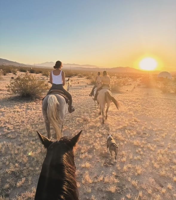 Joshua Tree Horseback Riding at Sunset