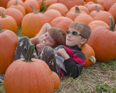 Wyckoff Pumpkin Picking Hayride