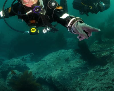 Drysuit Diving Course in San Diego