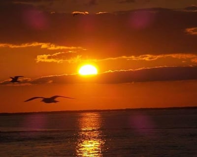 Key Largo Sunset Cruise