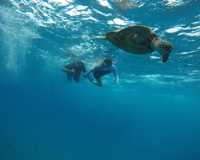 Surf Lesson & Scenic Hike from North Shore