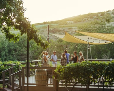 Sedona Wine Tour With Tastings and Lunch