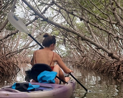 3-Hour Kayak Rental in St. Petersburg