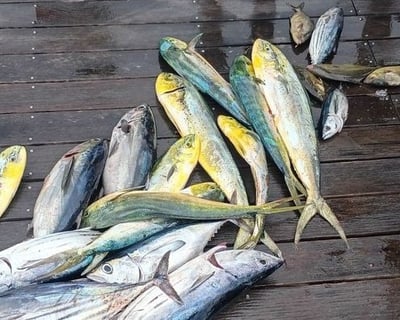 6-Hour Marathon Fishing Charter