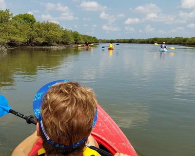 Guided Indian River Lagoon Kayak Tour