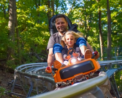 Alpine Coaster Ride in Grafton