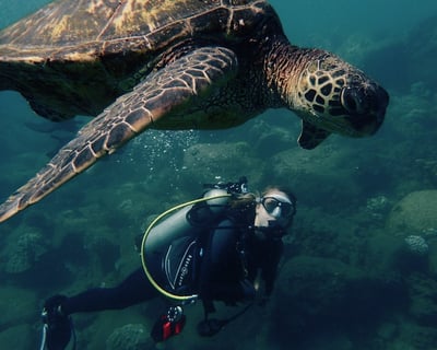 Discover Scuba Diving Shore Dive in Kauai 2-Tank
