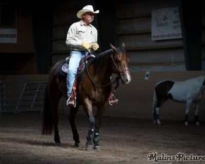 3-Day Horsemanship Clinic in Hendersonville