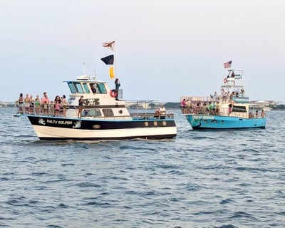 Dolphin and Scenic Bay Sightseeing Cruise