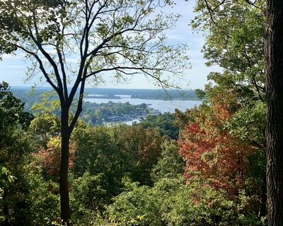 Fall Color Cruise in Douglas