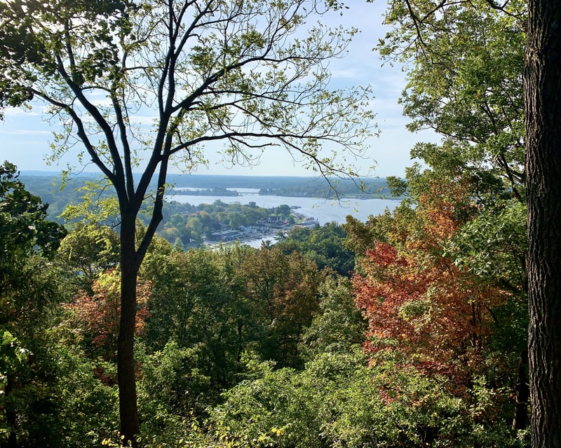 Fall Color Cruise in Douglas
