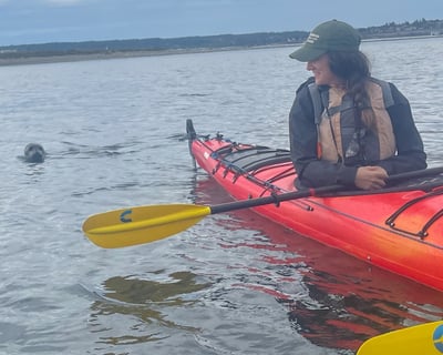 Guided Wildlife Kayak Tour in Port Townsend