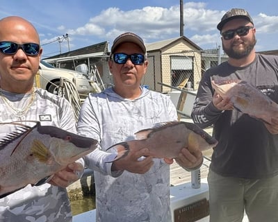12-Hour Deep Sea Fishing Charter in Hernando Beach