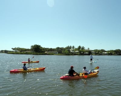 Guided Kayak and Paddleboard Tour on Indian River Lagoon