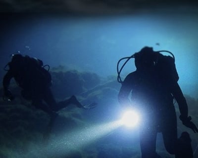 Catalina Island Guided Night Scuba Dive