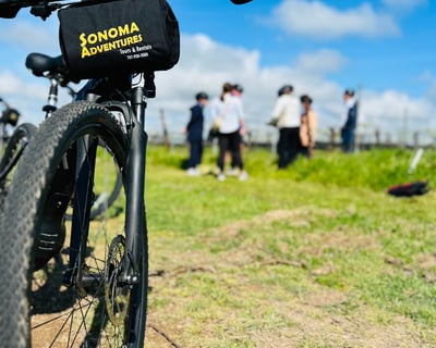 Explore Sonoma Scenic Guided Bike Tour