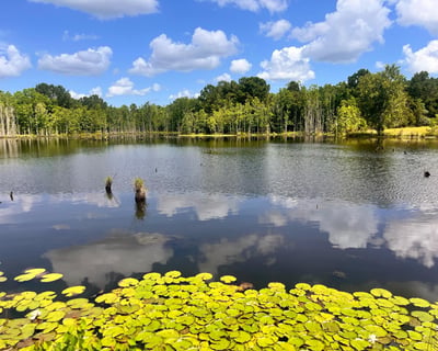 Catch & Keep Fishing Day Pass in Baker