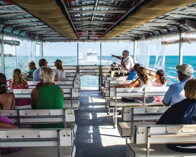 Dolphin Watch Cruise in Indian River Lagoon