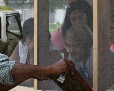 Private Beekeeping Tour in Navasota