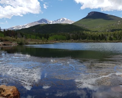 Private Guided Nature Walk in Rocky Mountain National Park