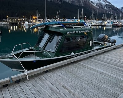 Wildlife Charter in Seward