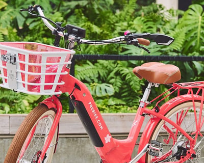 Explore West Palm Beach on a 3-Hour E-Bike Rental