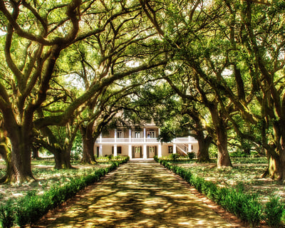 Whitney Plantation History Tour from New Orleans