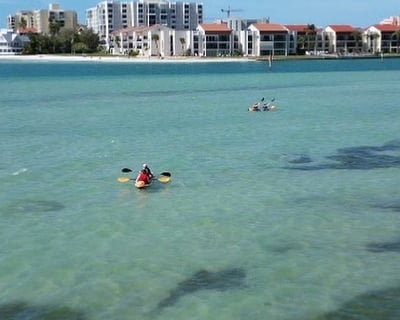 Clear Kayak Guided Tour in Clearwater