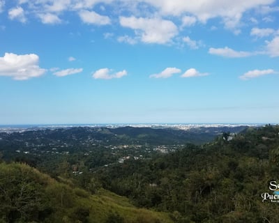 Guided Waterfall Hike in Bayamón