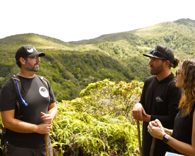 Honolua Ridgeline Hike: A Conservation Experience