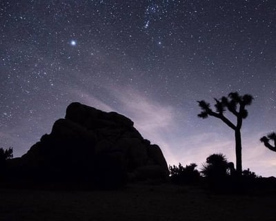 Astronomer-Led Stargazing in Joshua Tree