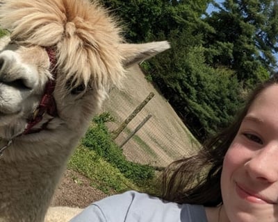 Private Alpaca Trek Birthday Party in Pleasant Valley