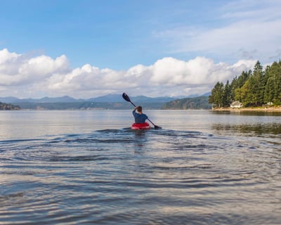 3-Hour Canoe Rental in Pinckney
