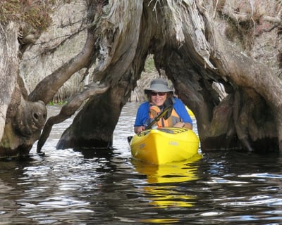 Guided Kayak Tour of Lake Norris