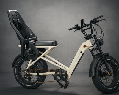 Valen Rev E-Bike Rental With Toddler Rear Seat