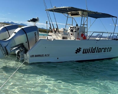 Loreto 26' Powercat Catamaran Charter