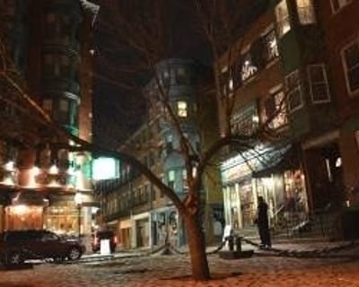 Dark History Guided Tour of Boston's North End