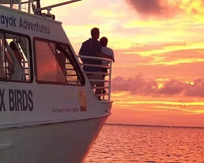Sunset & Nesting Birds: 2Hr Fulton Bay Cruise
