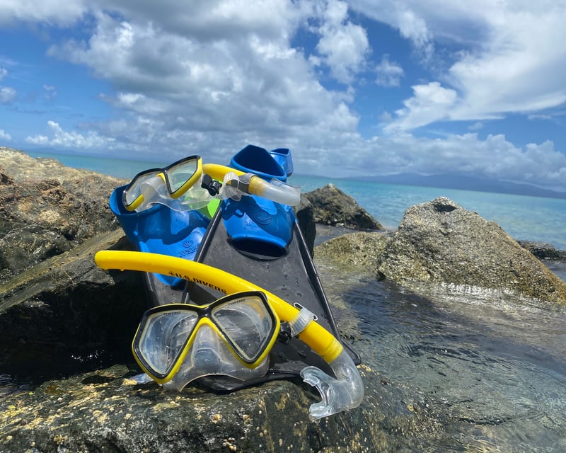 Snorkel Gear Rental in Vieques with Mask, Fins & Vest